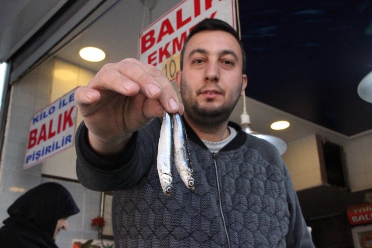 Hamsinin kulağına kar suyu kaçtı