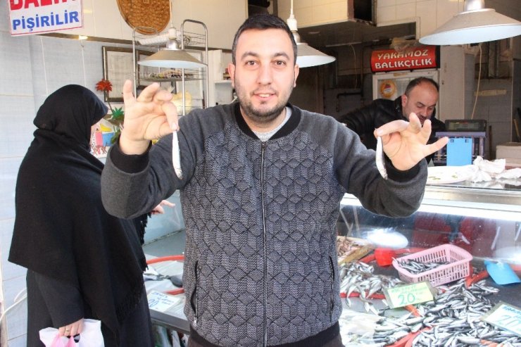 Hamsinin kulağına kar suyu kaçtı