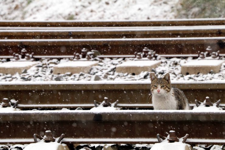 Çankırı'da kar kartpostallık görüntüler oluşturdu