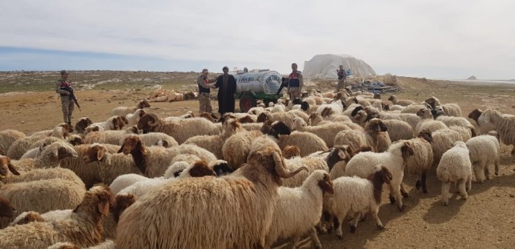 Şanlıurfa’da küçükbaş hayvan hırsızlığı: 2 tutuklama
