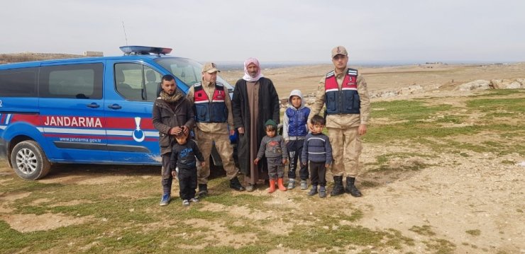 Şanlıurfa’da küçükbaş hayvan hırsızlığı: 2 tutuklama