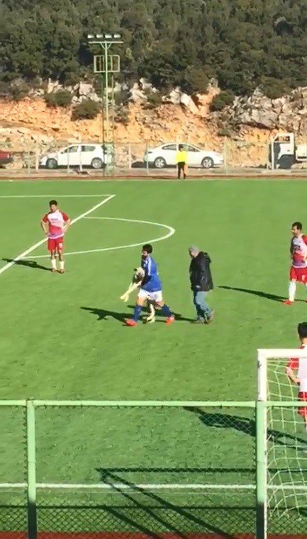 Maç sırasında sahaya giren köpek çıkmak istemeyince devreye futbolcular girdi