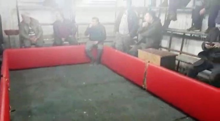 Dernek Başkanının yer temin ettiği horoz dövüşüne polis baskını