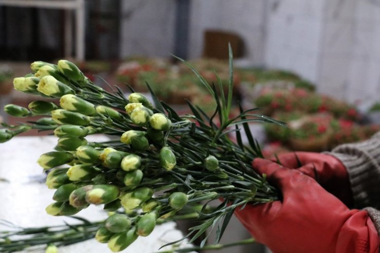 Kesme çiçek üreticilerine Sevgililer Günü dopingi