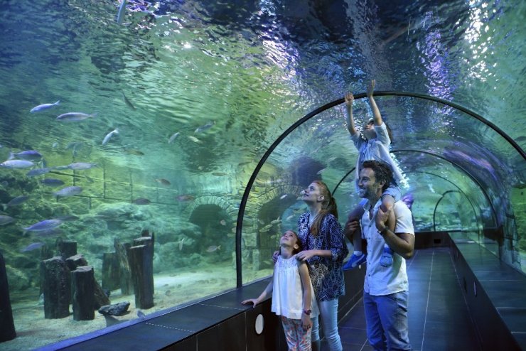 Viaport Marina indirimli fiyatlara gelen talep nedeniyle kampanyayı uzatma kararı aldı