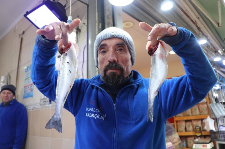 Hamsinin kulağına kar suyu kaçtı