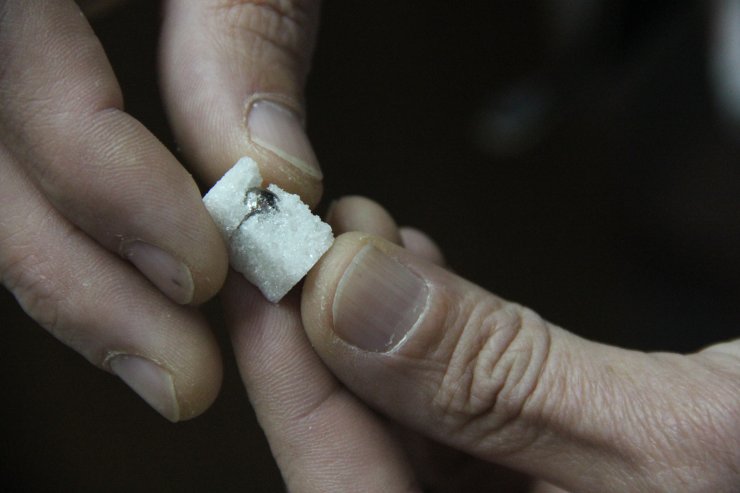 Samsun'da küp şekerden çıkan demir bilye şaşırttı