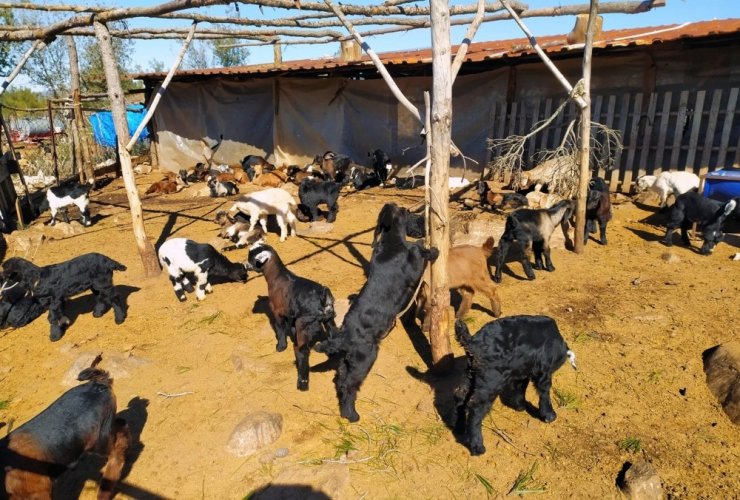 Muğla’da ‘teke değişim’ projesi