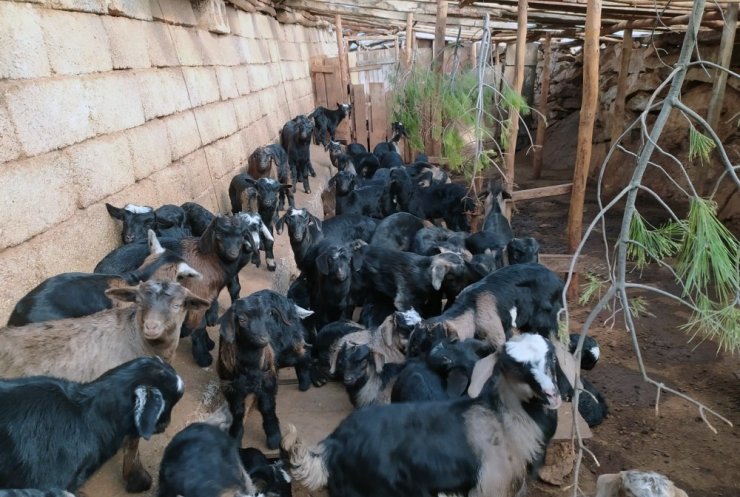 Muğla’da ‘teke değişim’ projesi