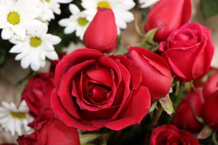 ’Sevgililer Günü’nde gülün tanesi 10 lira