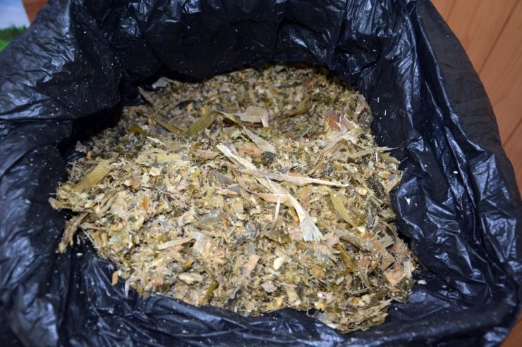 Aydınlı çiftçilere silajlık soya fasulyesi ve mısır tohumu dağıtıldı