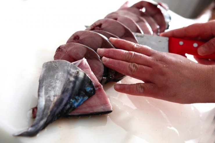 Balık varlığında şok düşüş