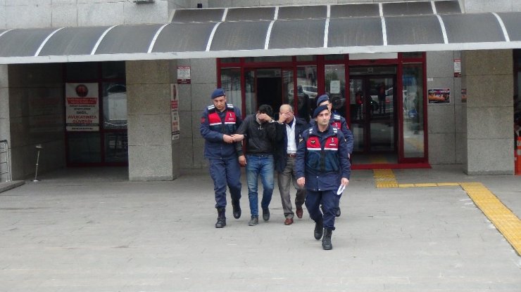 Alkol almak için keçi çaldılar
