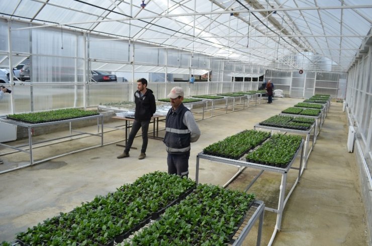 Ziraatbiyotek’in ilk meyveleri Süleymanpaşa’ya