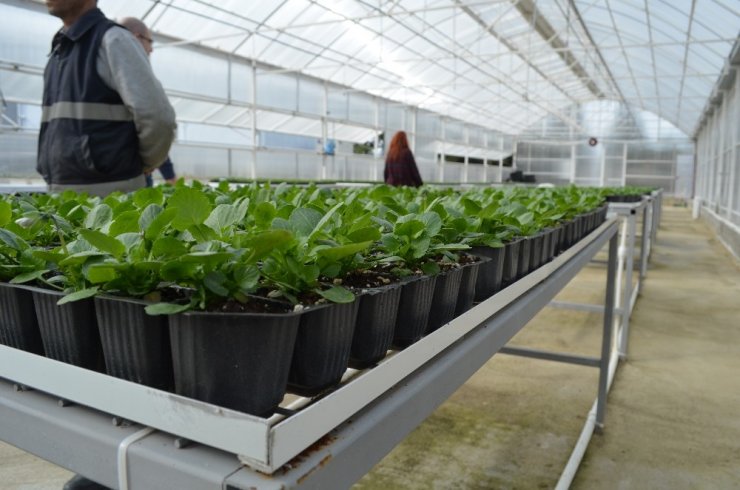 Ziraatbiyotek’in ilk meyveleri Süleymanpaşa’ya