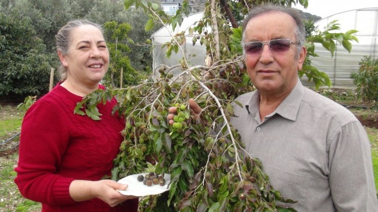 Türkiye’de ilk kez üretildi