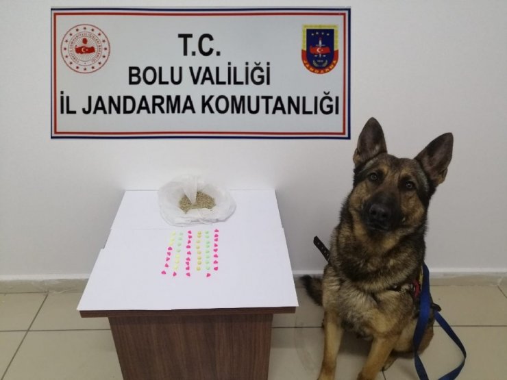 Bolu’da jandarmadan uyuşturucu operasyonu