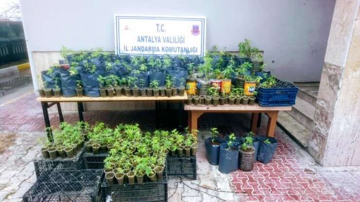 Antalya’da uyuşturucu operasyonu