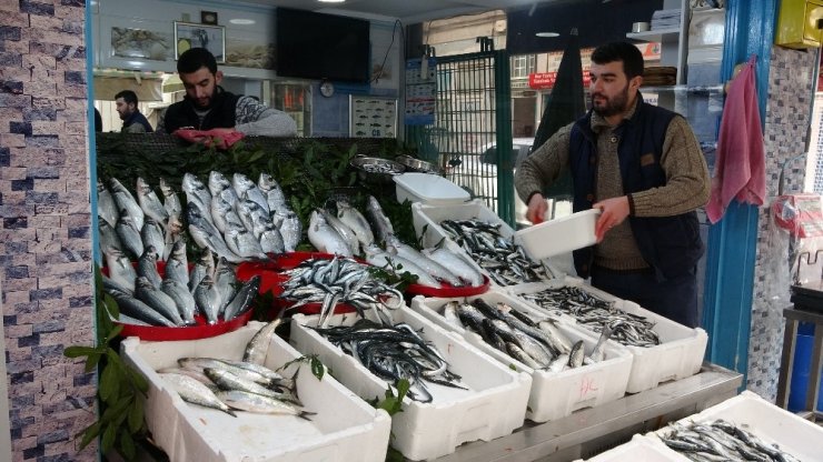 Balık cenneti Karadeniz’de en fazla bu balıklar talep görüyor