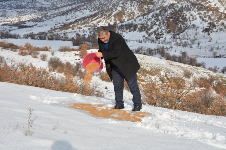 Saraykent Belediyesi yabani hayvanlar için doğaya yem bıraktı
