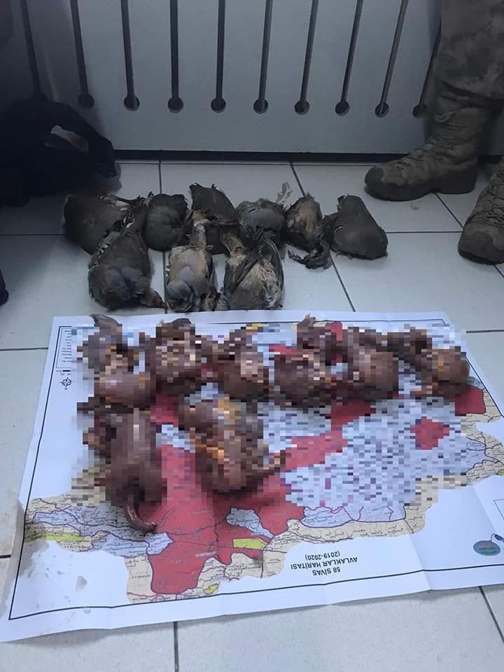 Kurallara uymayan avcılara suçüstü