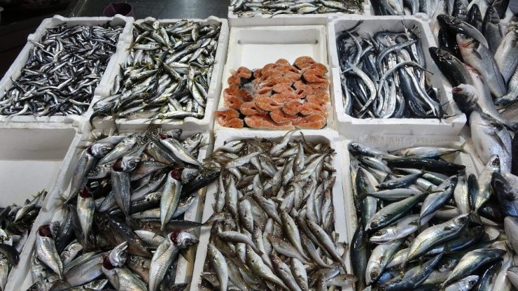 Trabzon’a hamsi Gürcistan’dan, uskumru İzmir’den, istavrit Marmara’dan, levrek kafesten geliyor