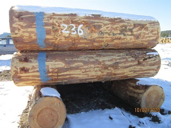 Kütahya’da 2 milyon 96 bin TL orman emvali satışı