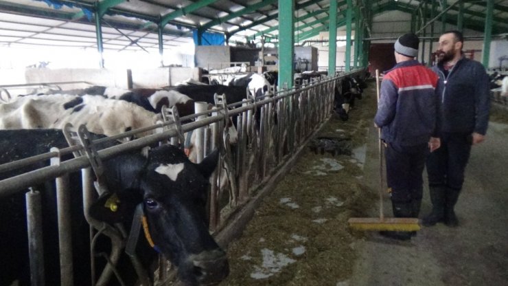 İşletmesini hibelerle büyüttü