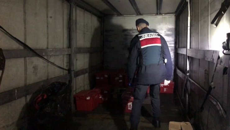 Organize hırsızlar Jandarma’dan kaçamadı