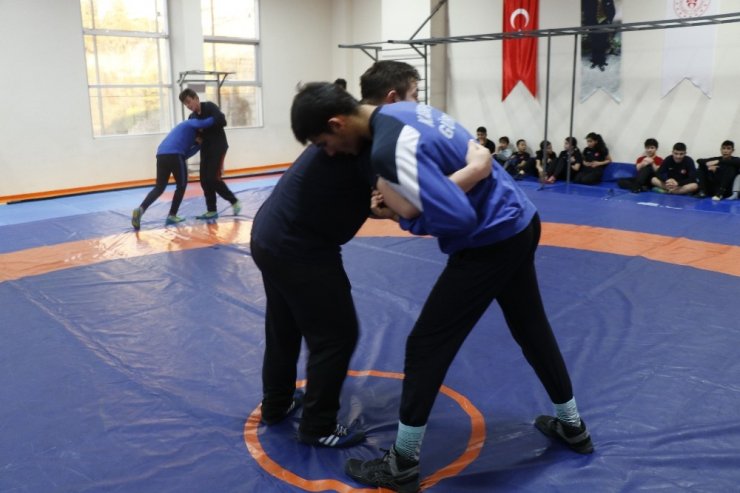 Aile boyu güreşçiler