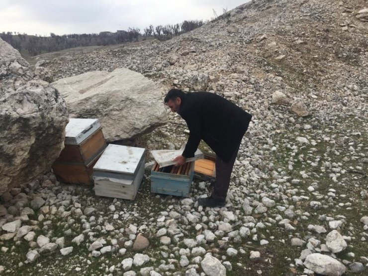 Adıyaman’da 16 adet arılı kovan çalındı