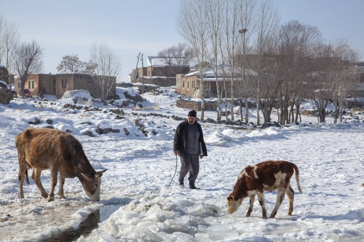 Bitlis'te besiciler, yüzeyi donan gölde buzu kırıp hayvanlara su içiriyor