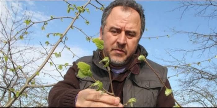 Fındık-Sen Başkanı Yaşar:“Kar yağışları ve don olayı fındığa fayda sağlamıştır”