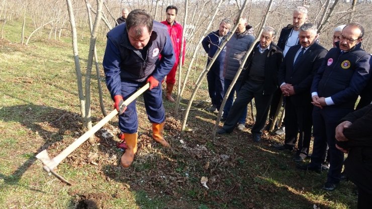 Vali Yavuz: “Fındık üretimi yüzde 10 artarsa, 400 milyon lira ek gelir olur”
