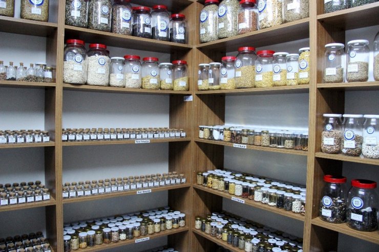 Başkan Gürün’den Ardahan’a ‘yerel tohum’ çağrısı