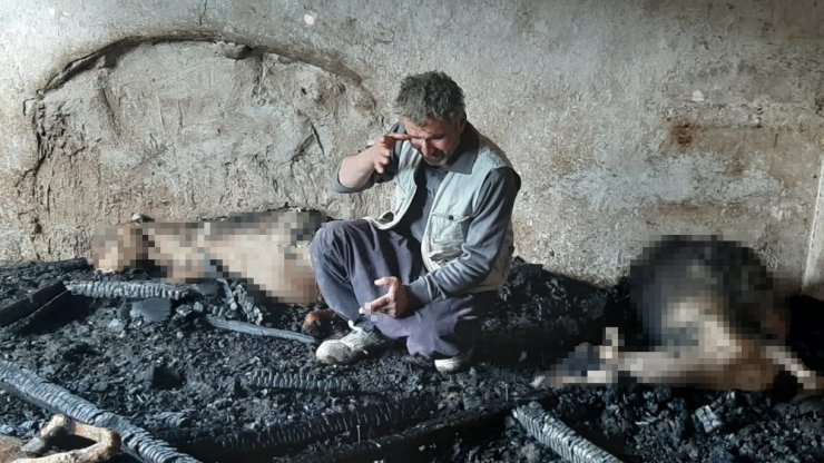 Yangında telef olan kuzuları için hüngür hüngür ağladı