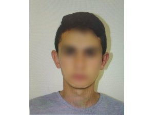 563194.jpg