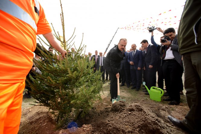 6-milyon-fidan-toprakla-bulustu--6.jpg