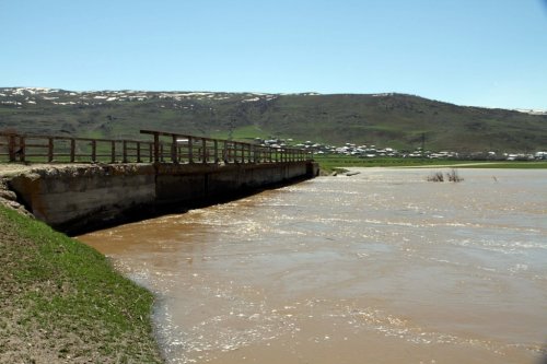 Muş'ta su taşkını