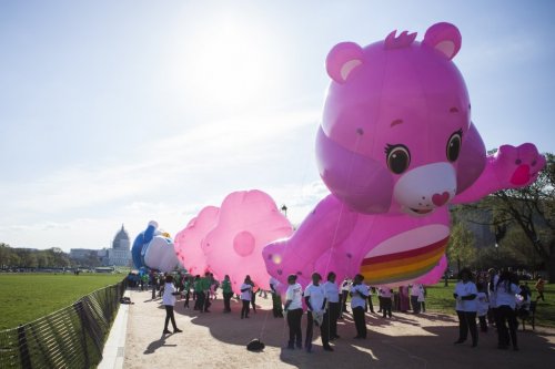 Washington'da kiraz çiçeği festivali