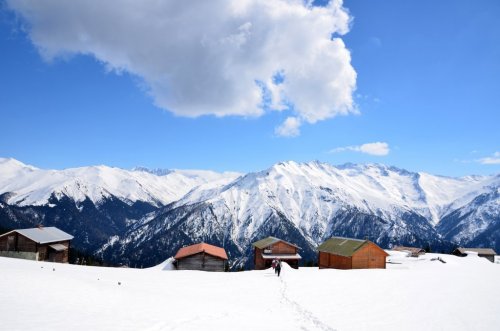 Pokut Yaylası güzelliğiyle büyülüyor