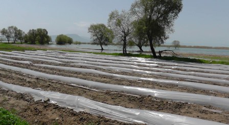 a03050fb_02.jpg a03050fb_02.jpg