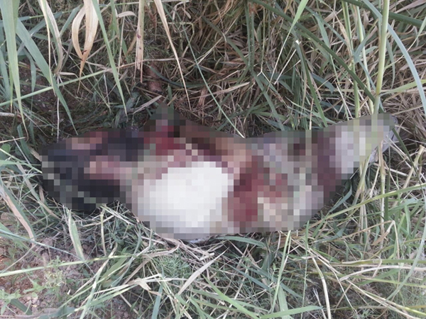 aa_picture_20150723_5915454_high-002.jpg aa_picture_20150723_5915454_high-002.jpg