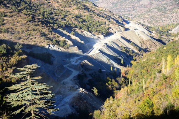 afsar-hadimi-(5).jpg