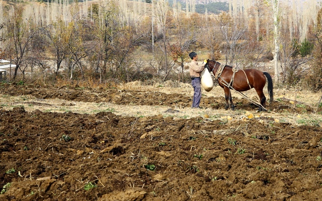 ailesinin-ekmegini-kara--(6).jpg