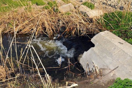 aksehir-golu-kurumaktan--(2).jpg