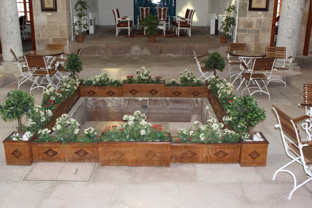 ali-gav-(31).jpg