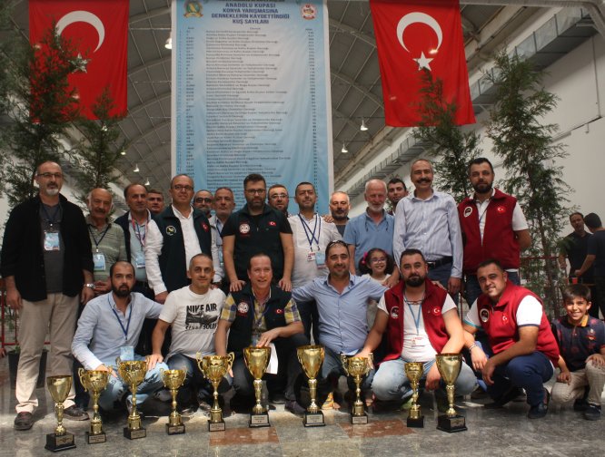 anadolu-kupasinda,-kuslar--(10).jpg