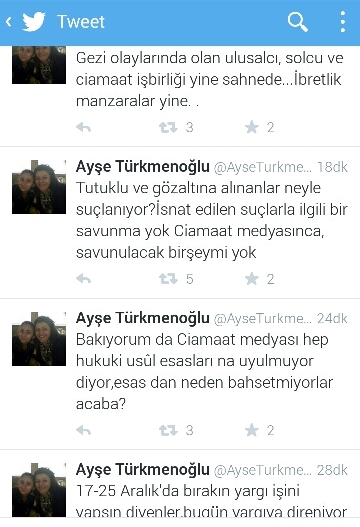 ayse-turkmenoglu.jpg ayse-turkmenoglu.jpg