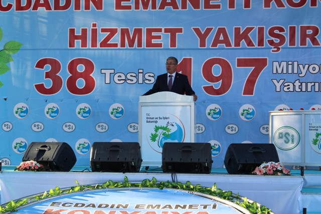 babaoglu-002.jpg